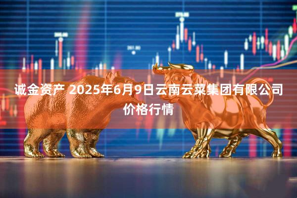 诚金资产 2025年6月9日云南云菜集团有限公司价格行情