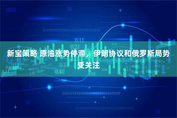 新宝策略 原油涨势停滞，伊朗协议和俄罗斯局势受关注