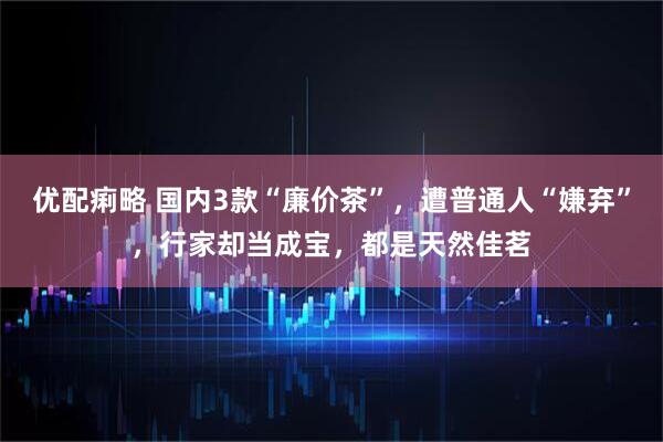 优配痢略 国内3款“廉价茶”，遭普通人“嫌弃”，行家却当成宝，都是天然佳茗